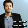 mishacollins_adopt.jpg